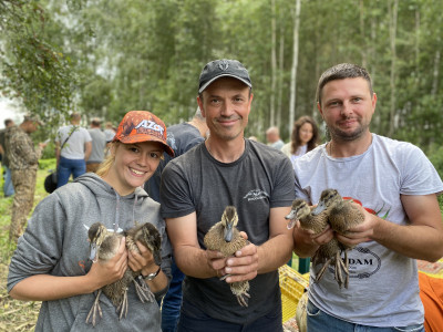 Release of young animals within the framework of the "Duck Territory" project 